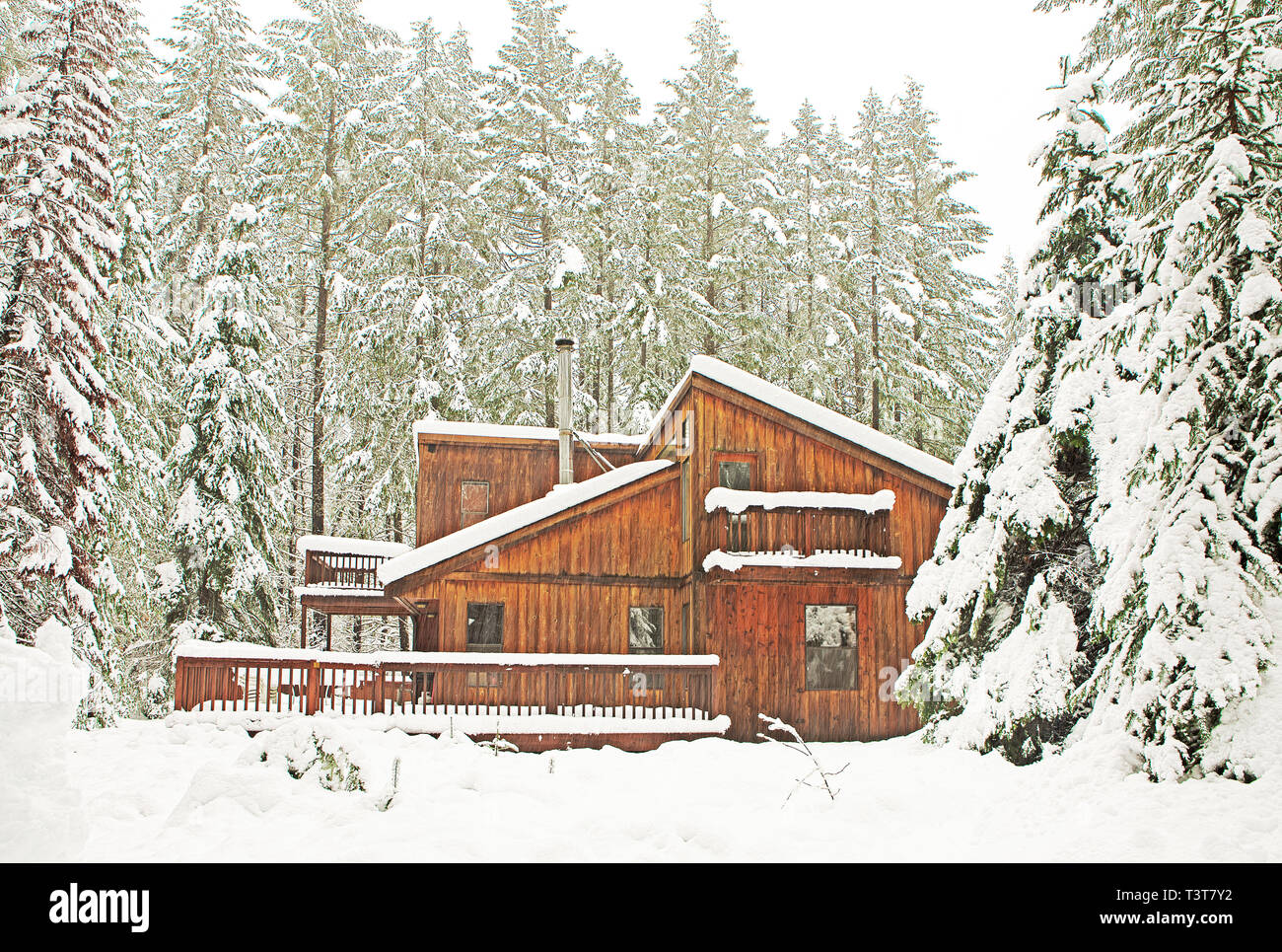Modern wood cabin in snowy forest Stock Photo