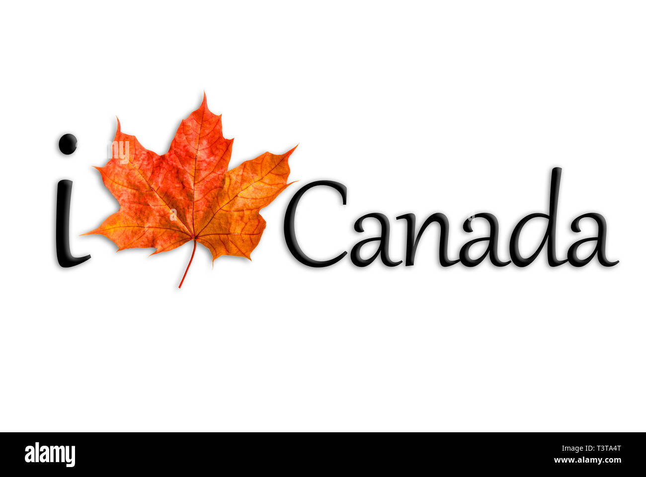 Canada logo with maple leaf. I Love Canada Stock Photo