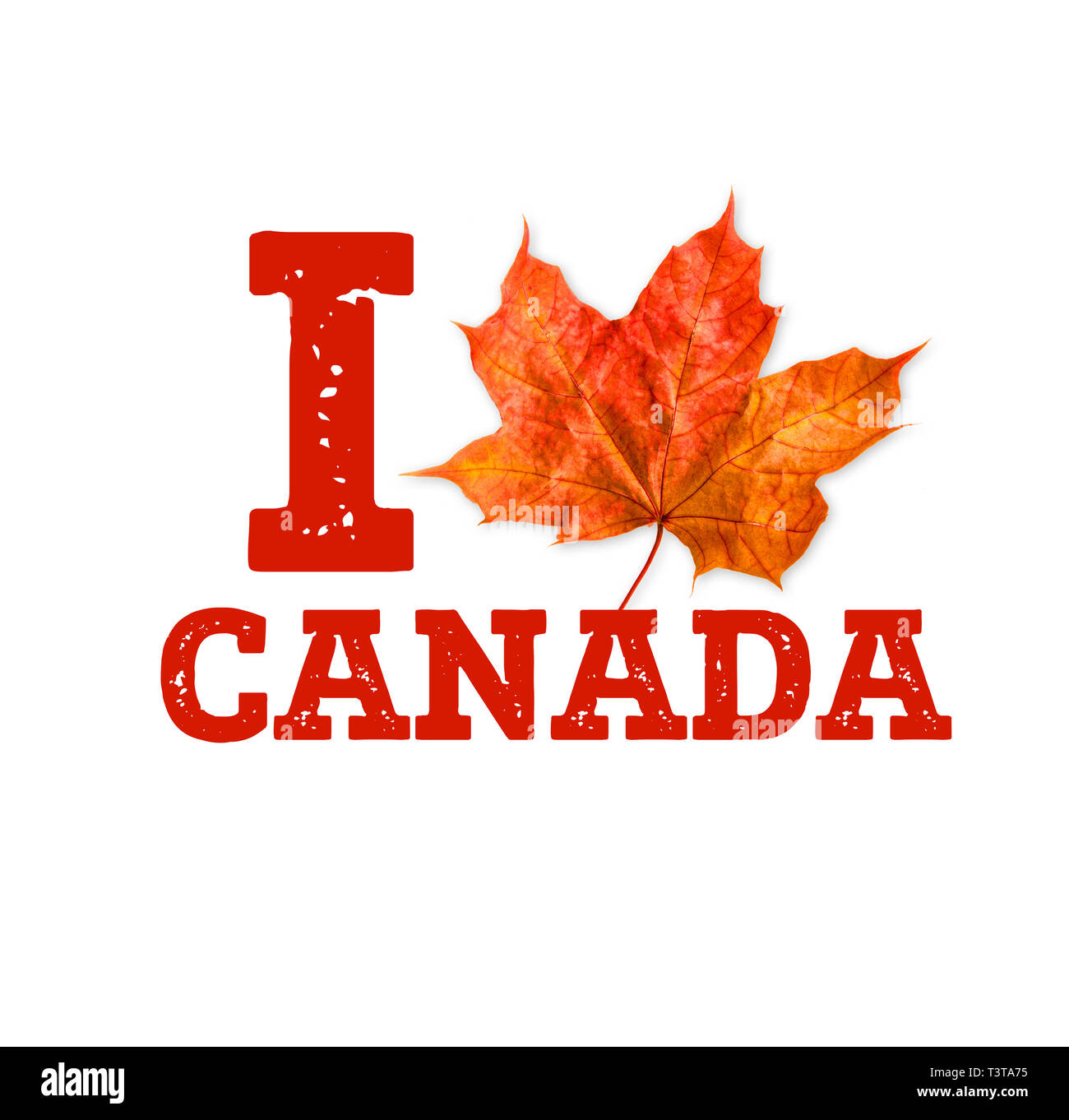 Canada logo with maple leaf. I Love Canada Stock Photo