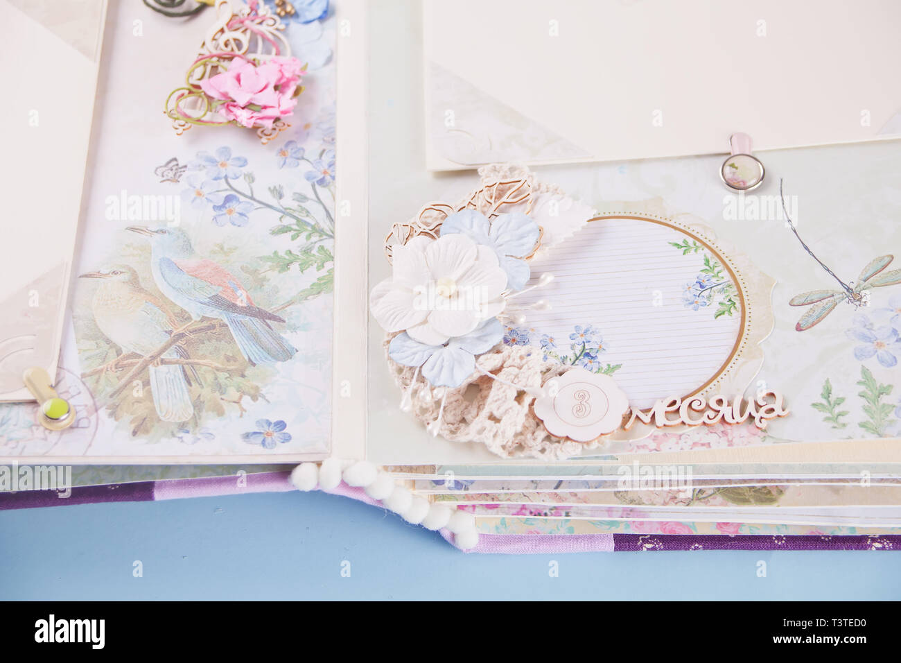 Scrapbooking Album In Chebbi Chic Style For Baby Handmade Stock Photo Alamy