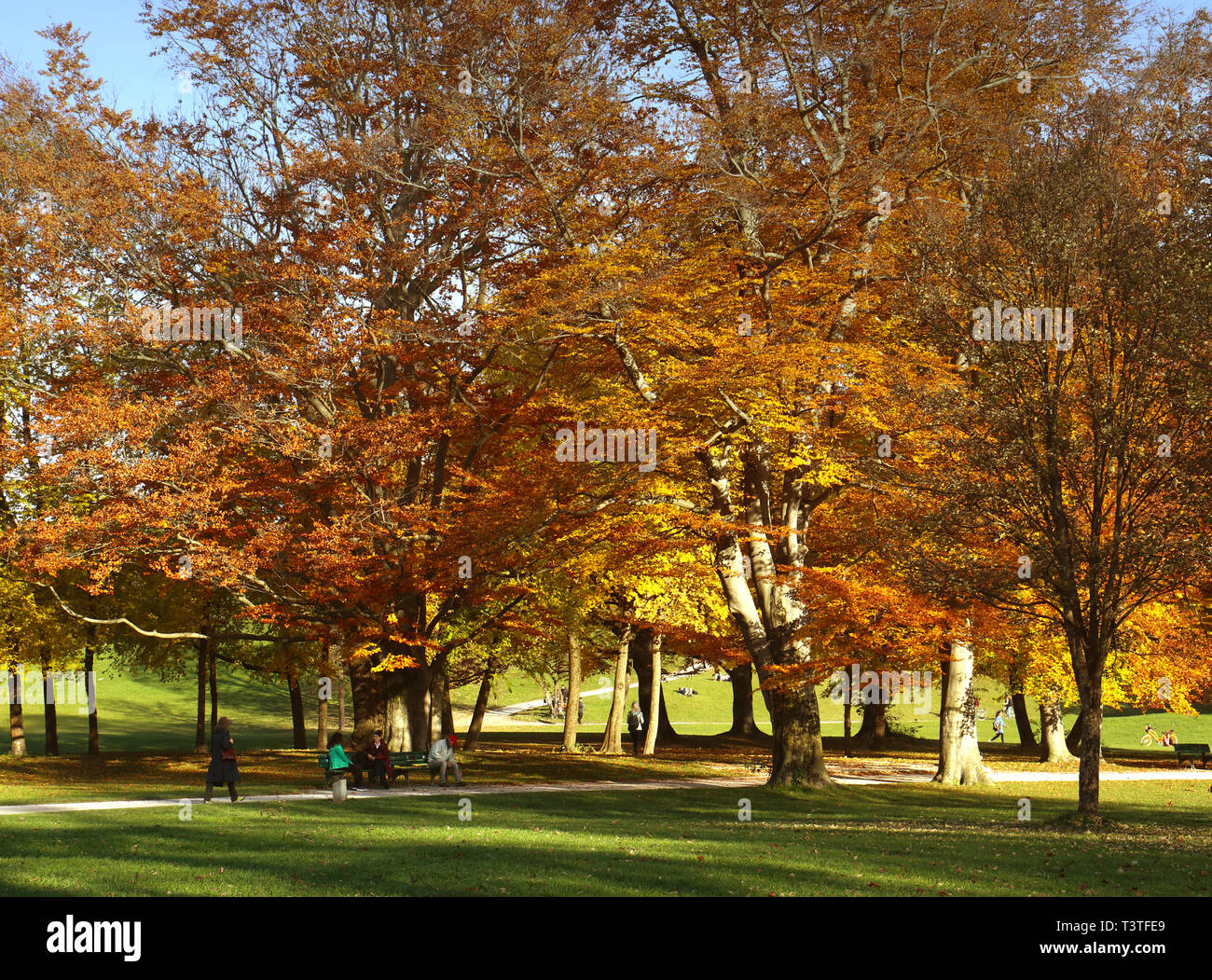 People Enjoy A Beautiful Autumnal Day At The Englischer Garten In
