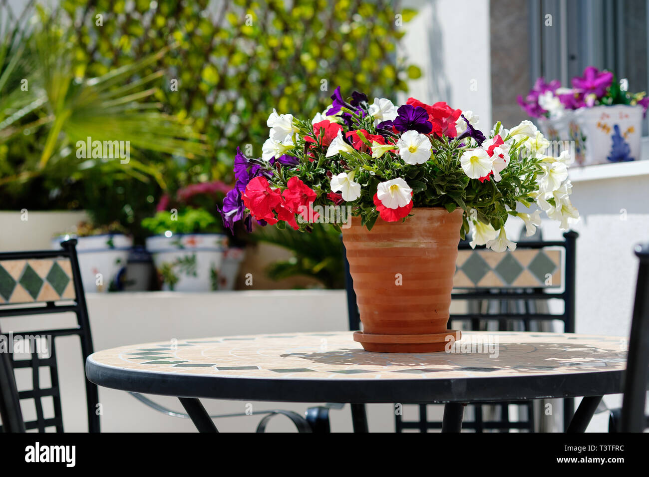 Multi coloured garden flowers in ceramic pot on table outdoors, sunny day no people Stock Photo