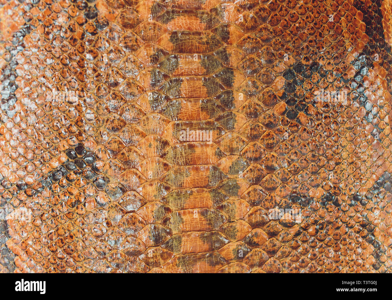 Snake skin, can use as background pattern leather. Stock Photo