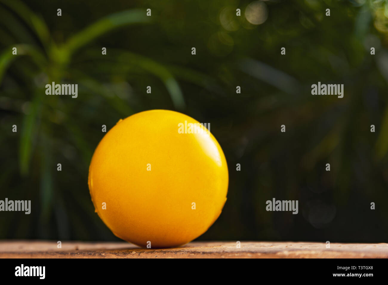 Yellow stress ball in a Nature background Stock Photo Alamy