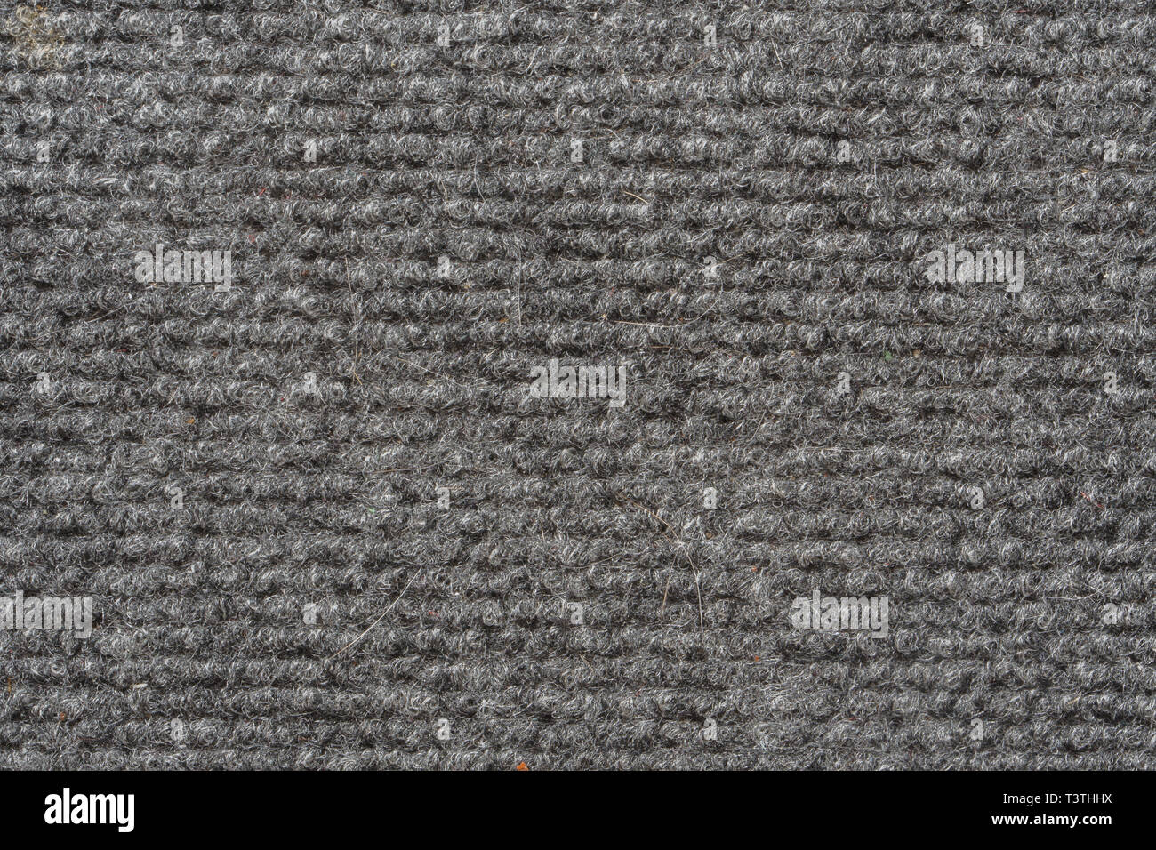 Texture of the Gray Nylon Carpet. Textile Background with Copy Space