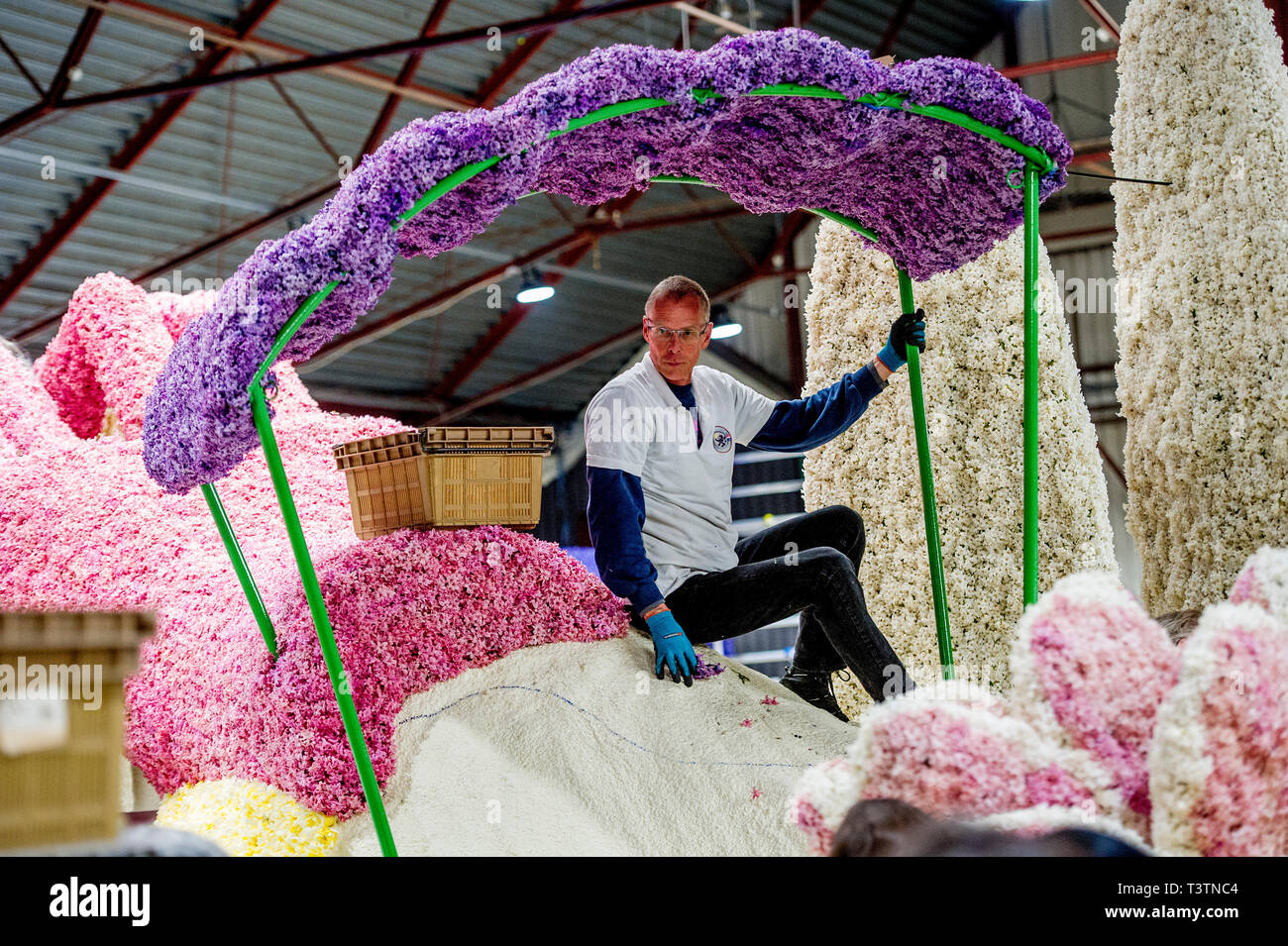 SASSENHEIM -building up the flowercars  for the flowerparade on saturday copyrught robin utrecht Stock Photo