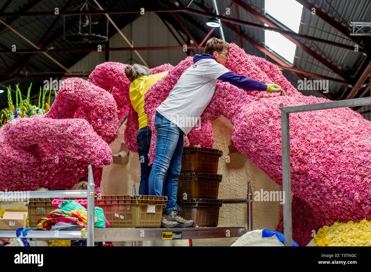 SASSENHEIM -building up the flowercars  for the flowerparade on saturday copyrught robin utrecht Stock Photo