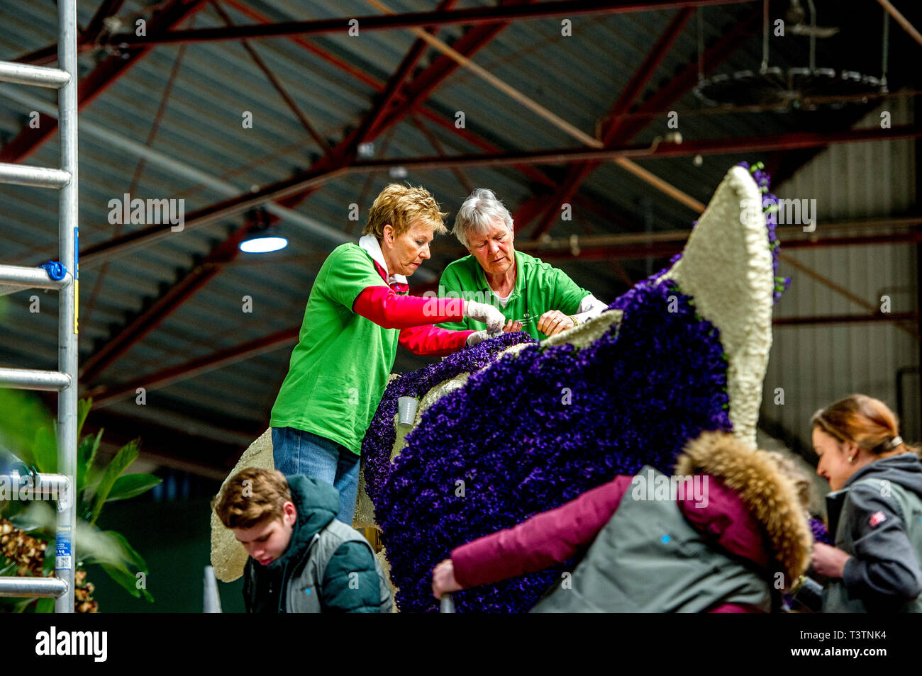 SASSENHEIM -building up the flowercars  for the flowerparade on saturday copyrught robin utrecht Stock Photo