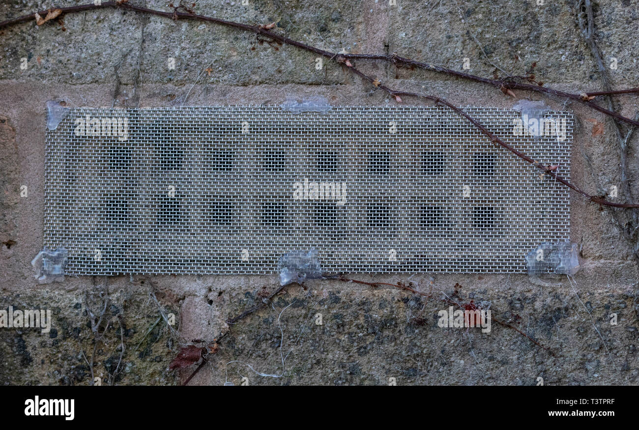 An Air Vent In Brickwork Covered By Mesh To Prevent Mouse Entry Stock Photo Alamy