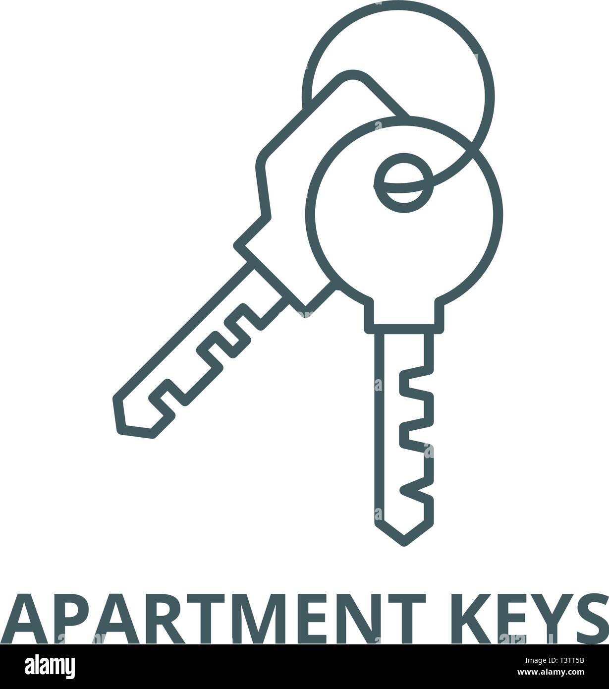 Apartment keys line icon, vector. Apartment keys outline sign, concept