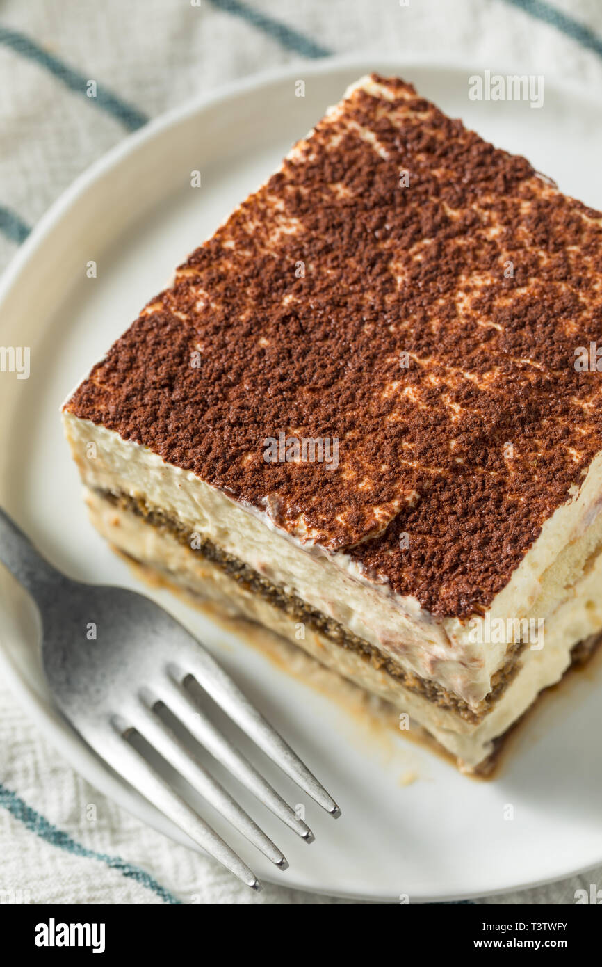 Sweet Homemade Italian Tiramisu Dessert with Cocoa Powder Stock Photo