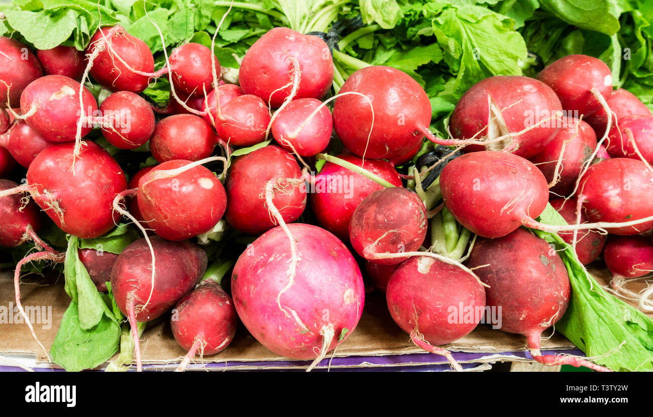 Organic Radishes on market stall. Stock Photo