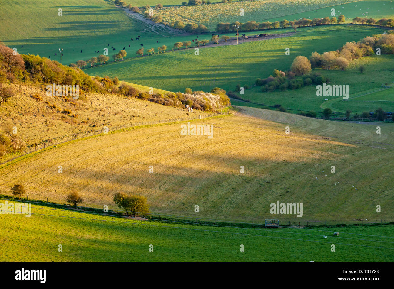 Spring evening on the South Downs in West Sussex, England. Stock Photo