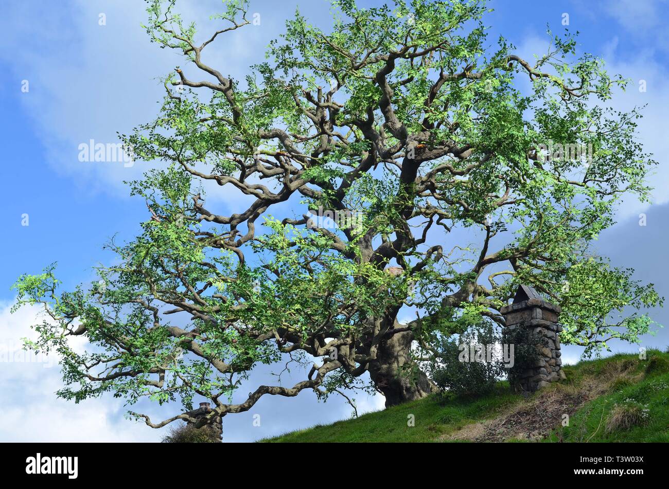 Tree from the movie Hobbiton Stock Photo