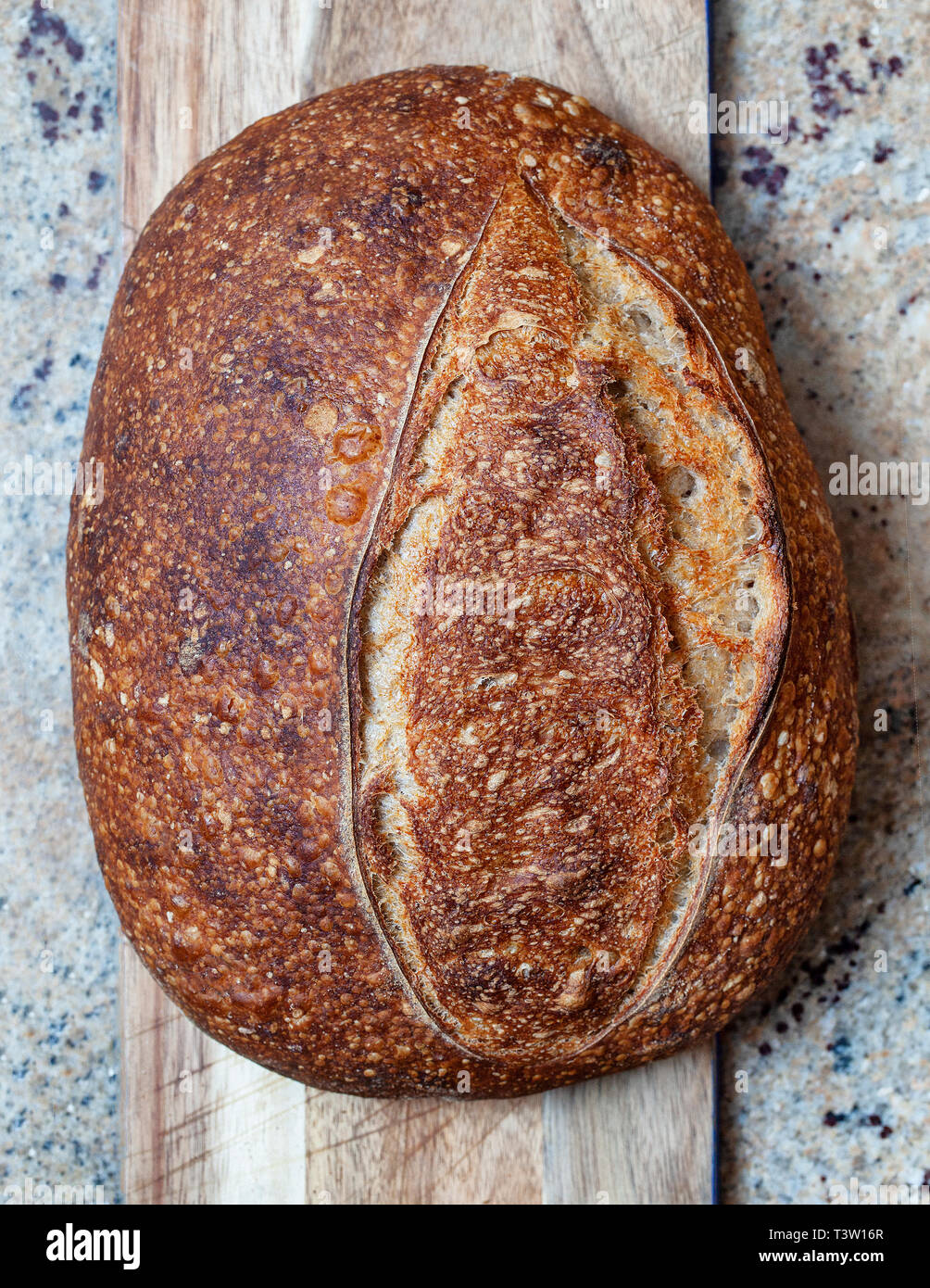 Crusty loaf of freshly baked sourdough bread Boule. Slices of sourdough