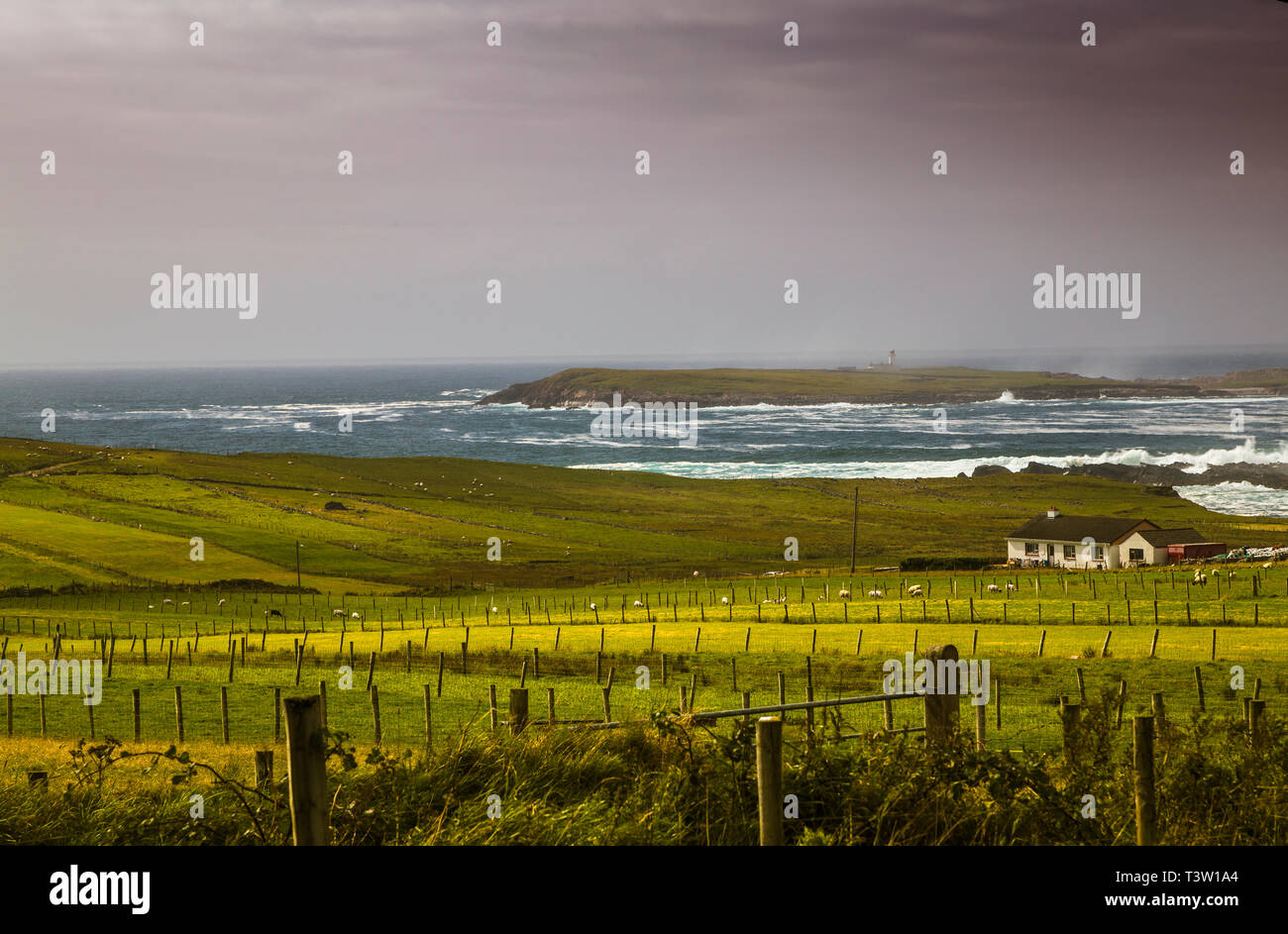 Irish landscape with meadows and the seaI Stock Photo
