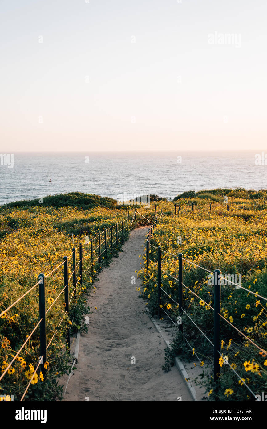 Dana point headlands hi-res stock photography and images - Alamy