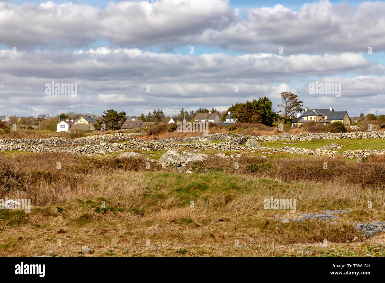 Farm field and houses with vegetation and rocks, Spiddal, Galway, Ireland Stock Photo
