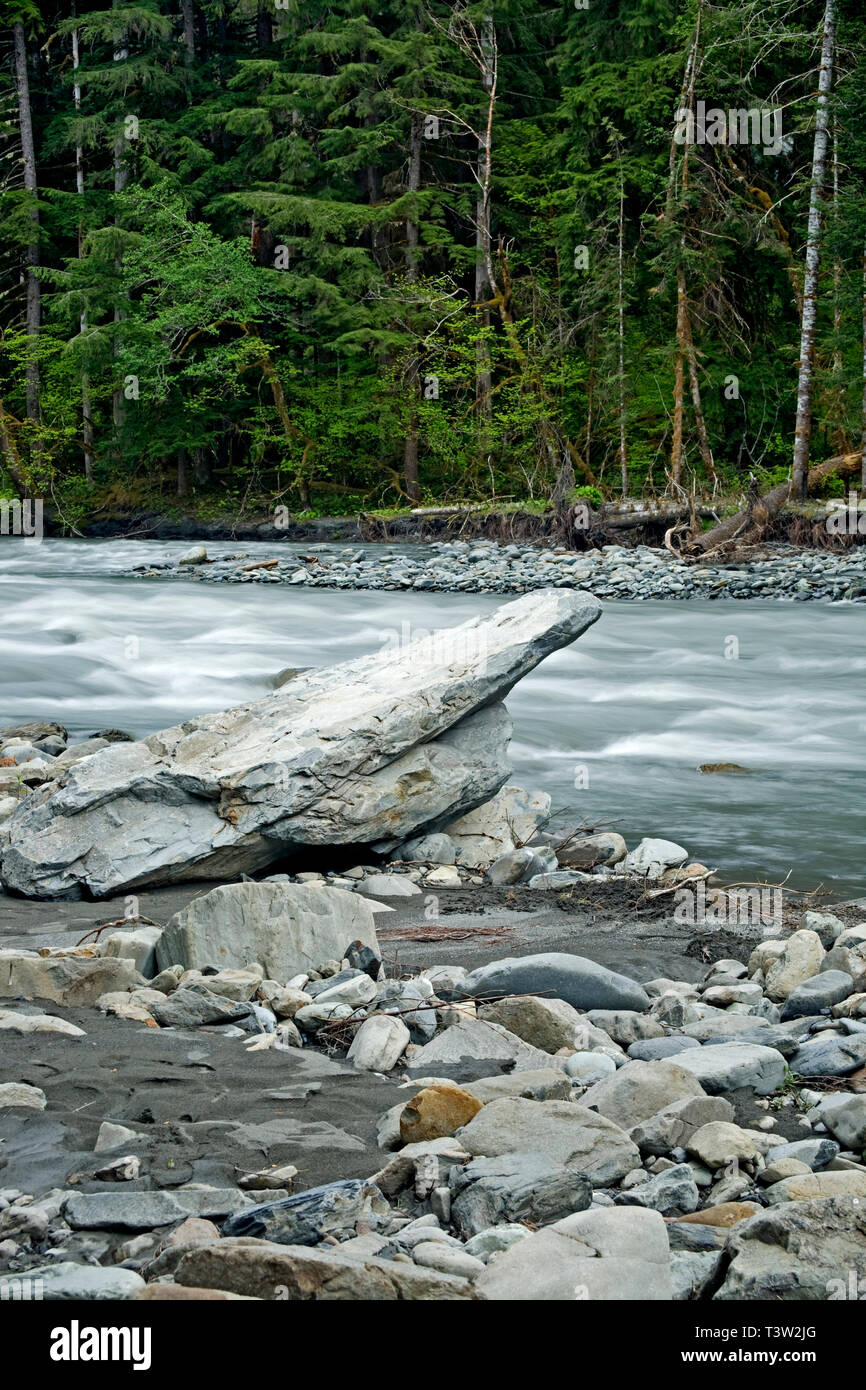 Elk Horn Stock Photos & Elk Horn Stock Images Alamy