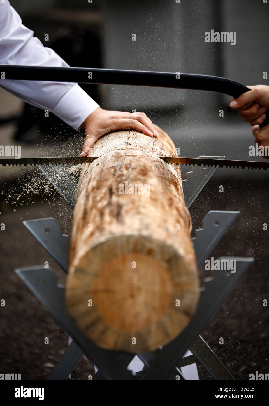 sawing a big piece of wood Stock Photo Alamy