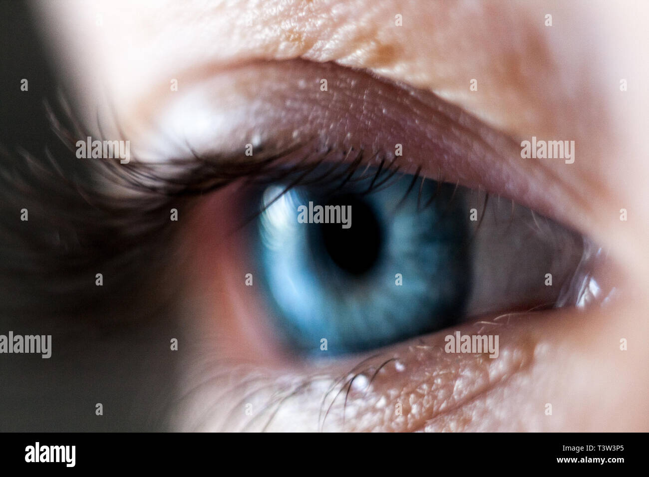 Iris eye hi-res stock photography and images - Alamy