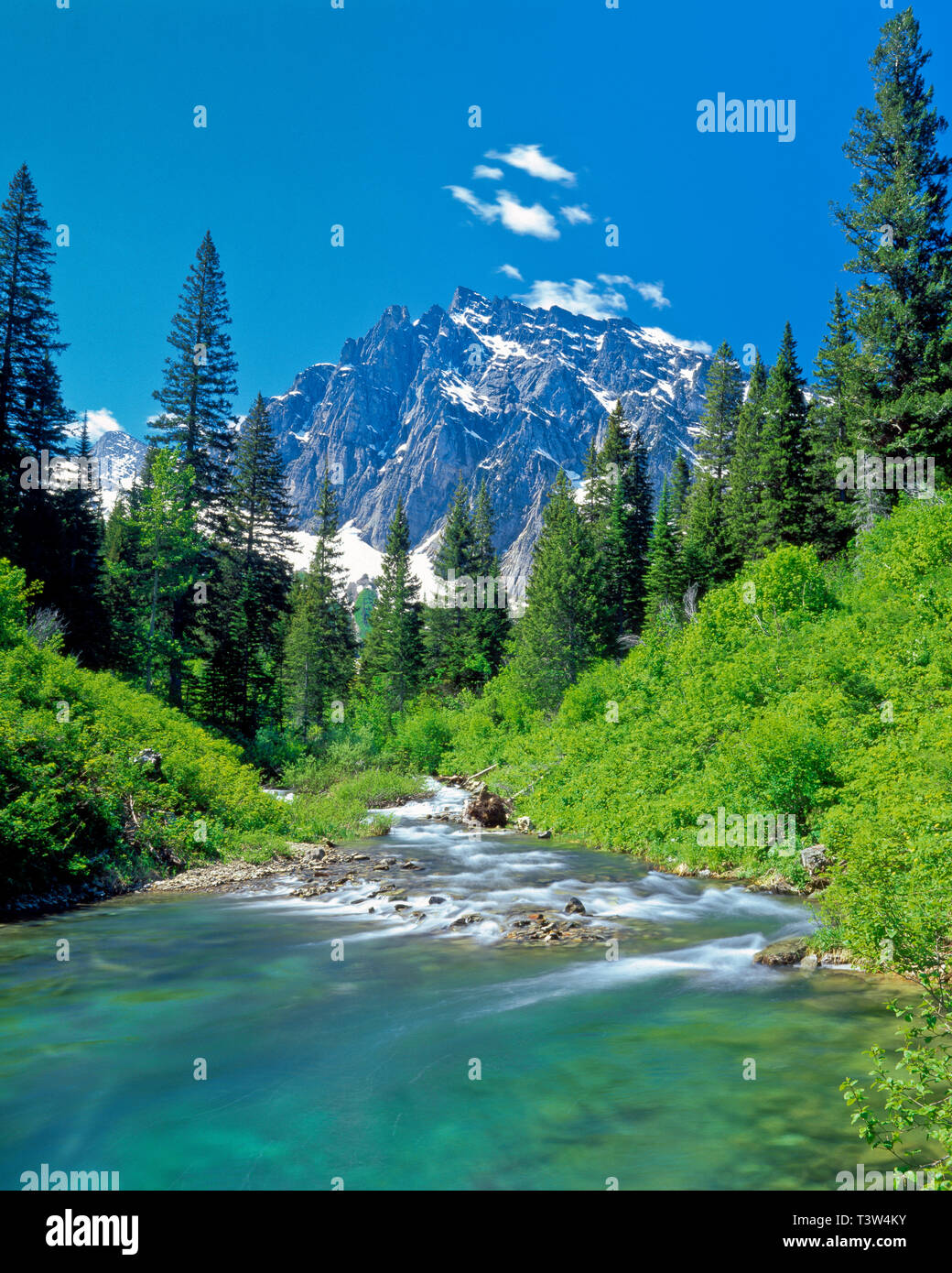 Granite Creek Below A Peak In The Cabinet Mountains Wilderness