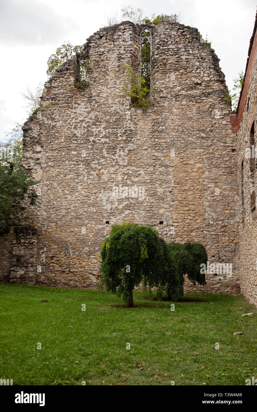 Remains of a Fransiscan Monaster on Margaret Island.These ruins – no more than a tower and a wall dating back to the late 13th century – are in the ce Stock Photo