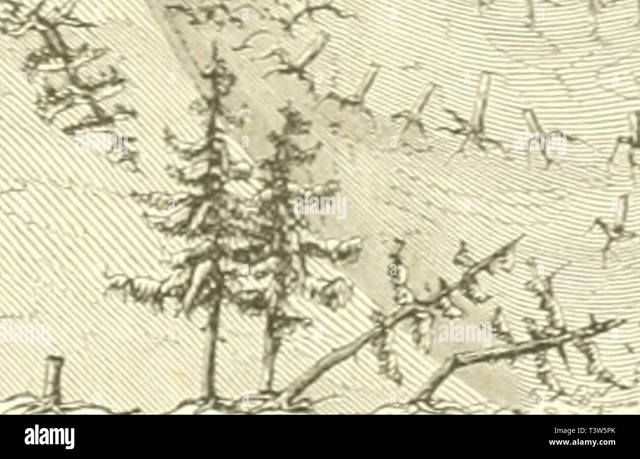 Archive image from page 238 of Die Natur (1852). Die Natur  dienatur19uleo Year: 1852  229 tcn SThf.Tc unb flmjfn Ã¼bcrqebfti, Â»rcllcn irit ncdi Me iStrantfladie in (ugcnfcbcin nehmen. Qi macht einen ci,;cnthÃ¼mtichen (Jinbrucf, wenn rcir faft &gt;iUenthalben auf irÃ¼mmer froren, metdie baÃ¤ 9Reer auctcnjcrfen ()at. JÃ¼if tem reeipen Sanbe finben iric Â»echfctSreeife balb oljfloben unb ?.uten, batb Â®d)iif6; planfen unb Salfcn, hier unb bpct StÃ¼cfe oon OTaften ober anbern Schiffttjeilen, an rcetd)cn nod) alte4 (Slfen unb Sauroet! befeftigt ijl. gbenfo fef)fn mir nn Â»etfd)ie= gen 5Ã¶etth. 9? Stock Photo
