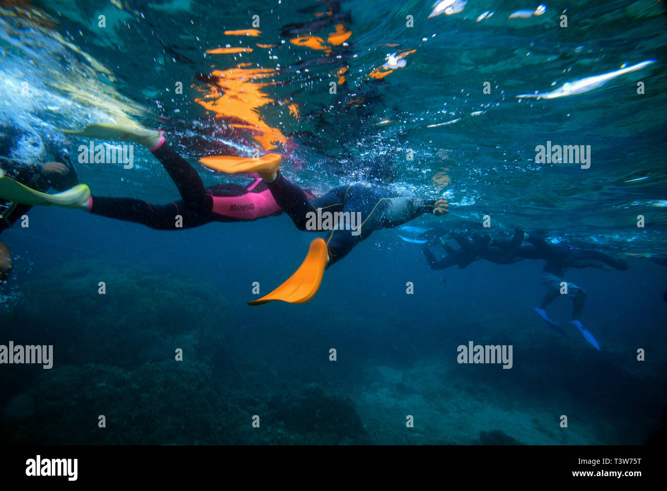 Snorkeling in Ishigaki, Okinawa Prefecture, Japan Stock Photo Alamy