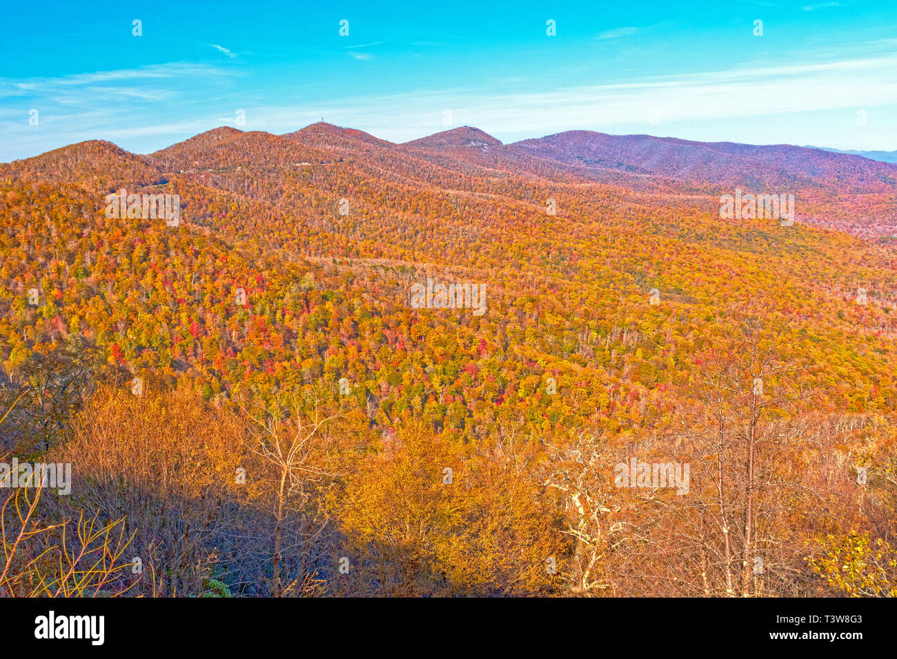 Fall Colors in a Mountain Vista on the Blue Ridge Parkway in North