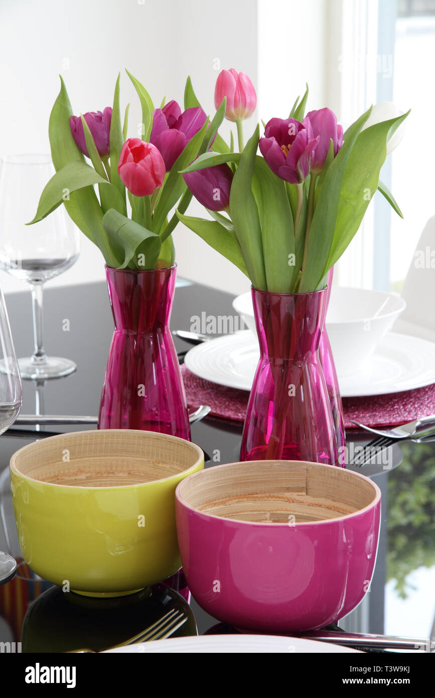 Cerise pink tulips in two matching glass vases Stock Photo