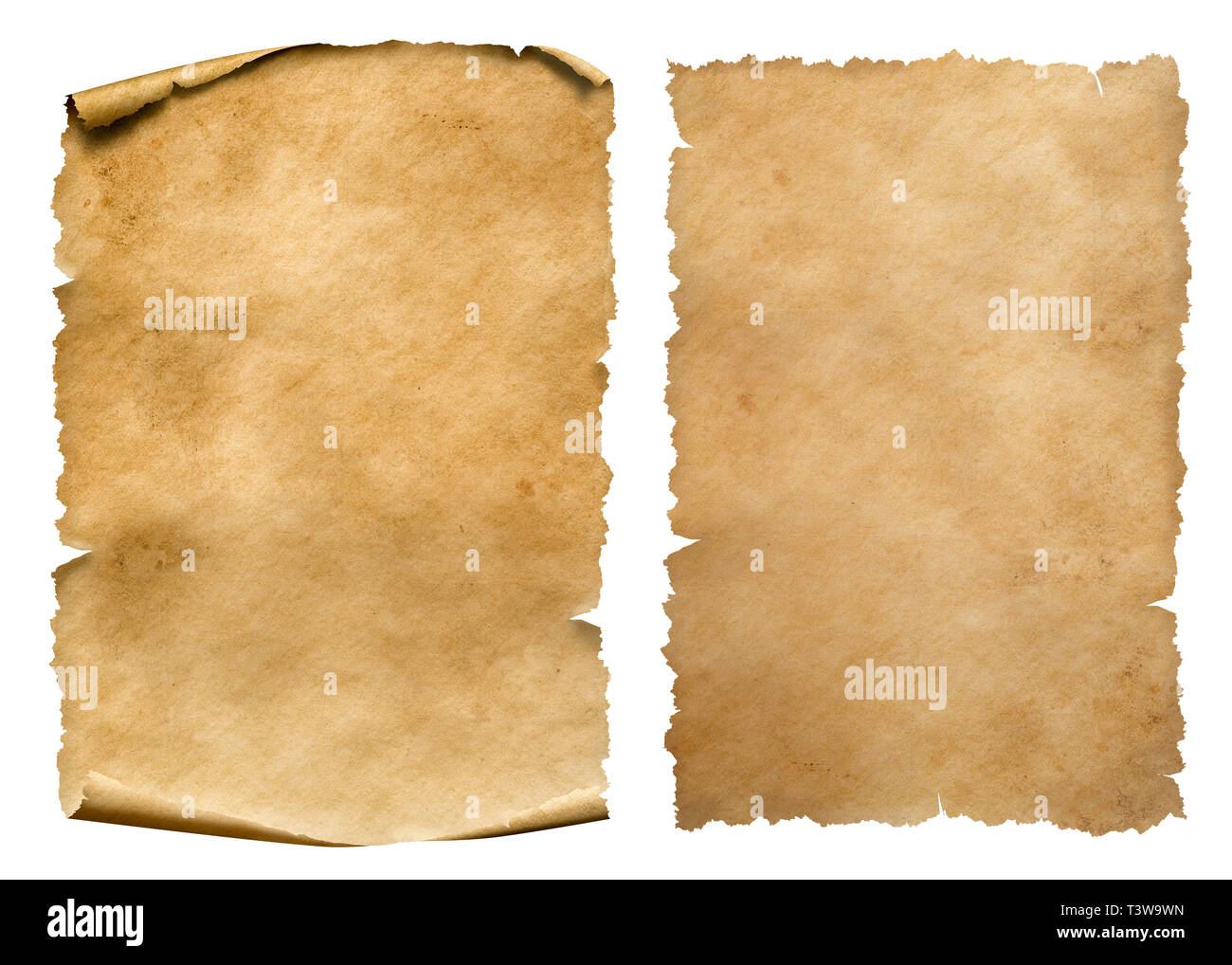 Piece Brown Parchment Paper Torn Edges Isolated White Background Bend Stock  Photo by ©PantherMediaSeller 503223852