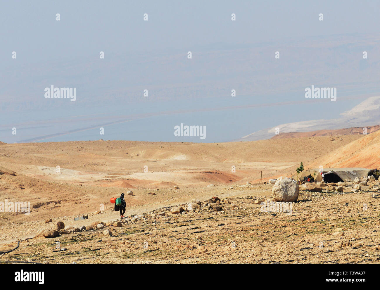 A Bedouin woman carrying water jerrycans back to her family's tent. Stock Photo