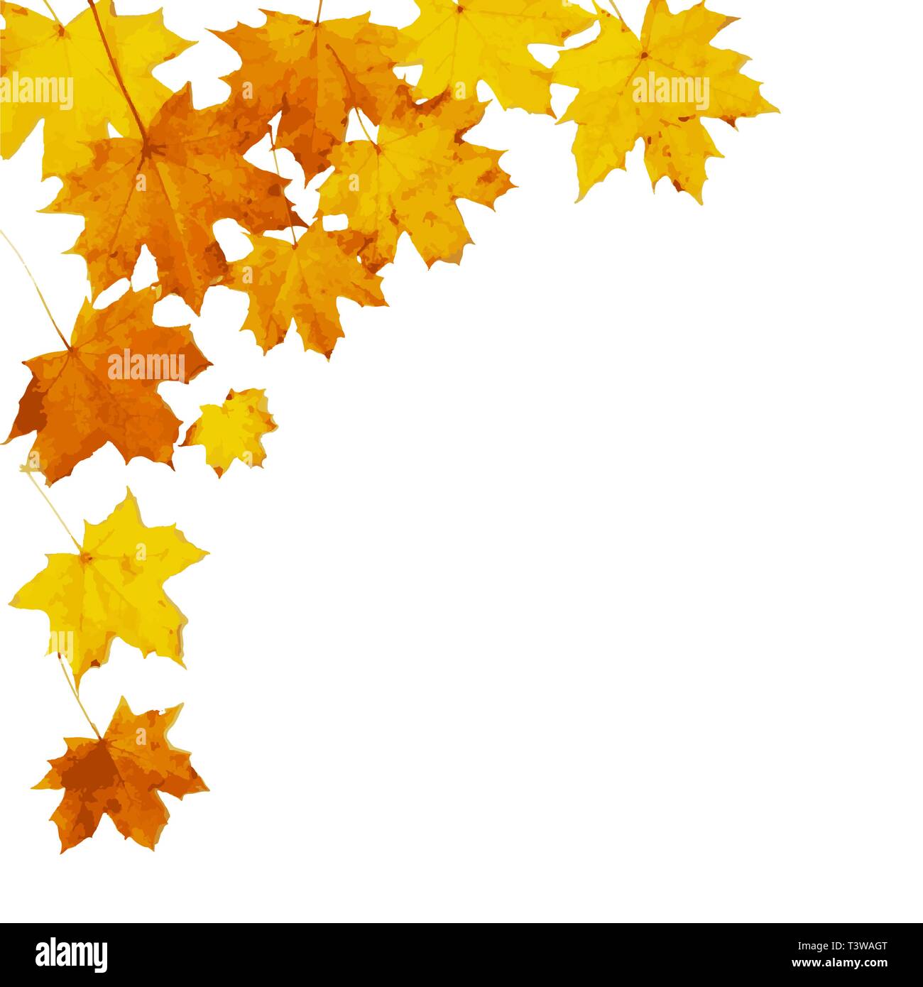 Autumn maple leaves isolated on white. Vector illustration Stock Vector