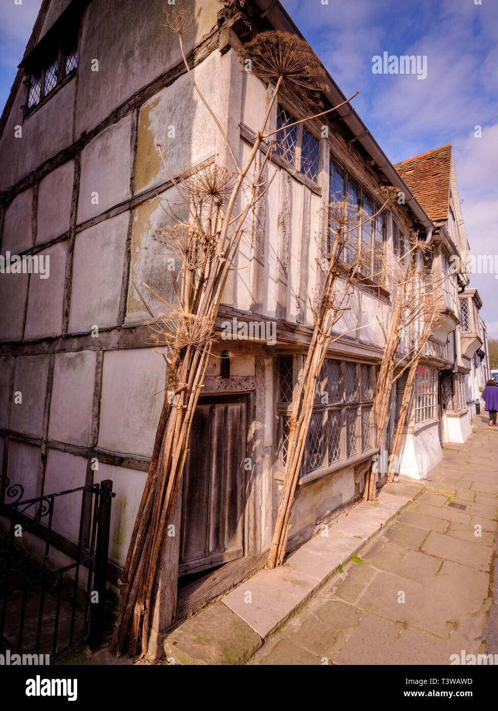 Alastair Hendy and his restored tudor home in Old Town Hastings, East Sussex UK. Stock Photo