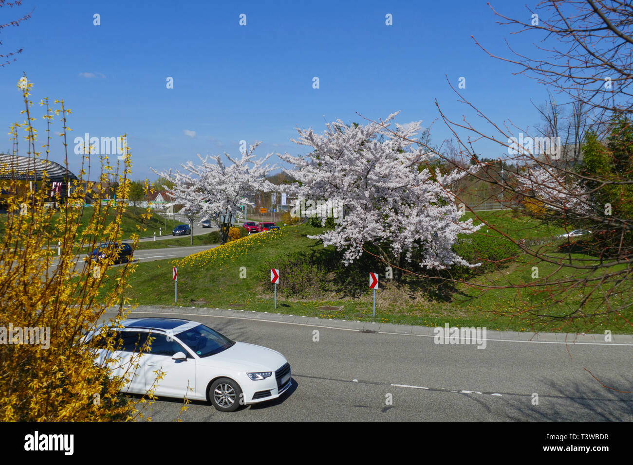 Kreisverkehr an der B500, Zubringer in Baden-Baden mit blühenden Bäumen Stock Photo