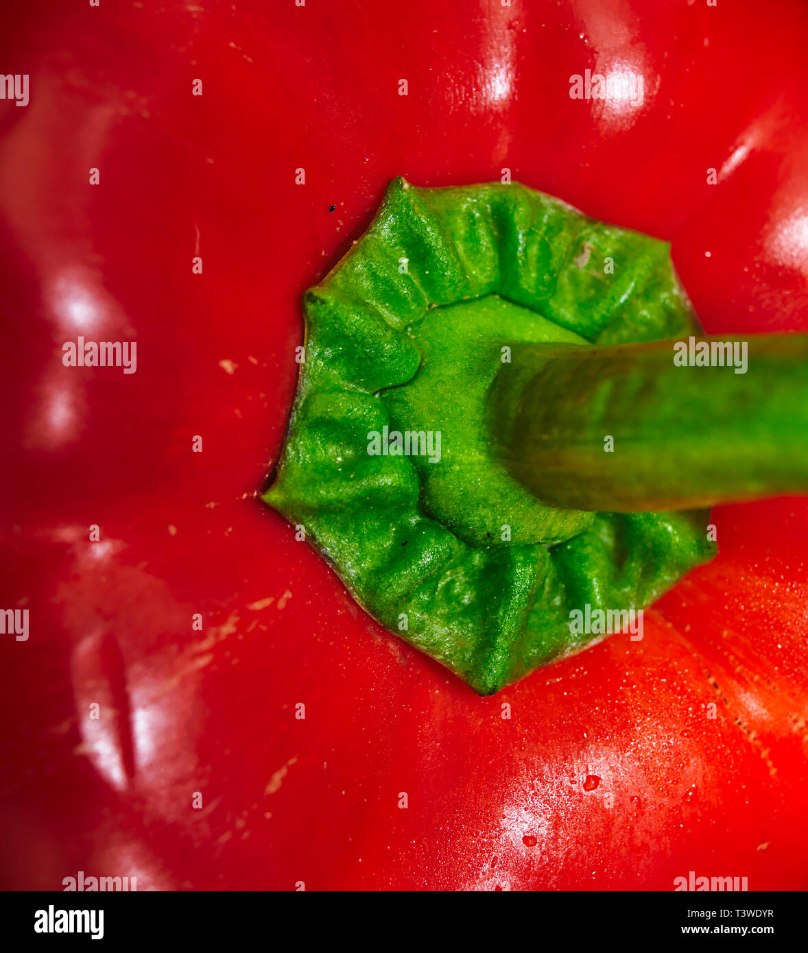 Bell pepper colors hi-res stock photography and images - Alamy