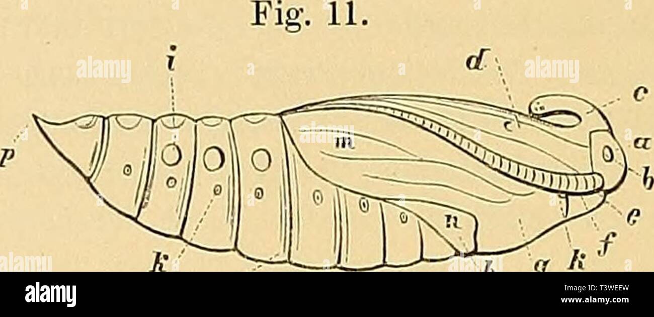Nur füße sichtbar hires stock photography and images Alamy