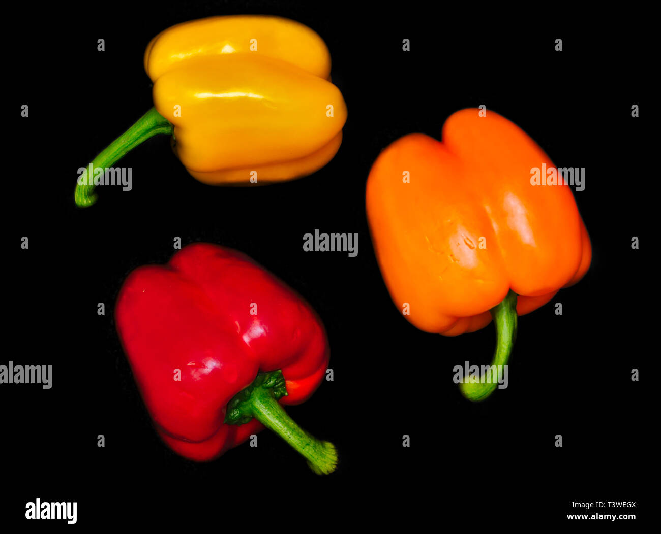 Vivid colorful shiny peppers on black background. Vegetables forming a circle. Red yellow and orange vibrant colors. Stock Photo
