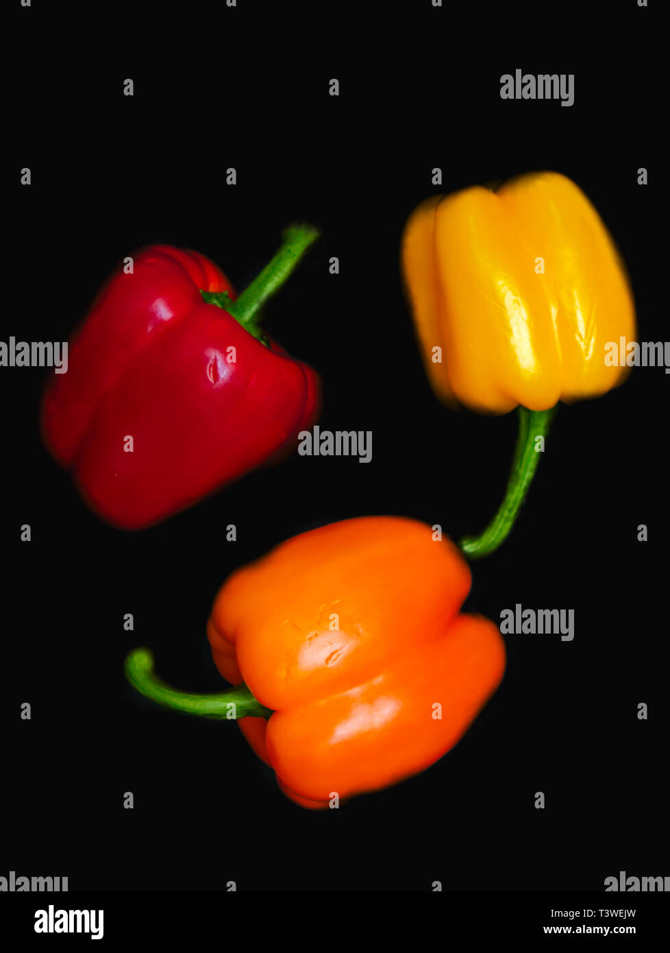 Vivid colorful shiny peppers on black background. Vegetables forming a circle. Red yellow and orange vibrant colors. Stock Photo