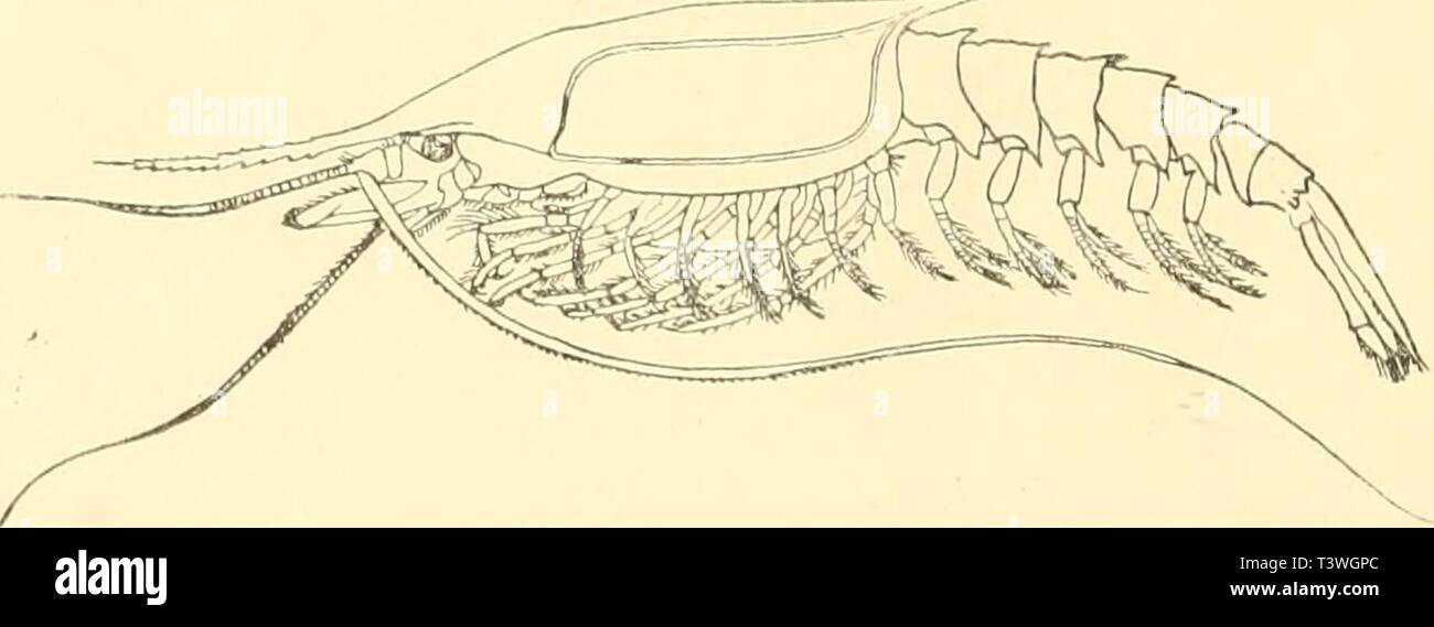 W 1 58 6 hi-res stock photography and images - Page 3 - Alamy