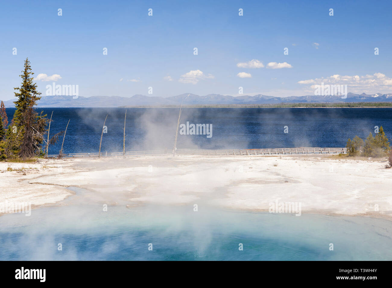 Yellowstone Spring Steam Steam rising from hot springs, Yellowstone National Park, Wyoming ...