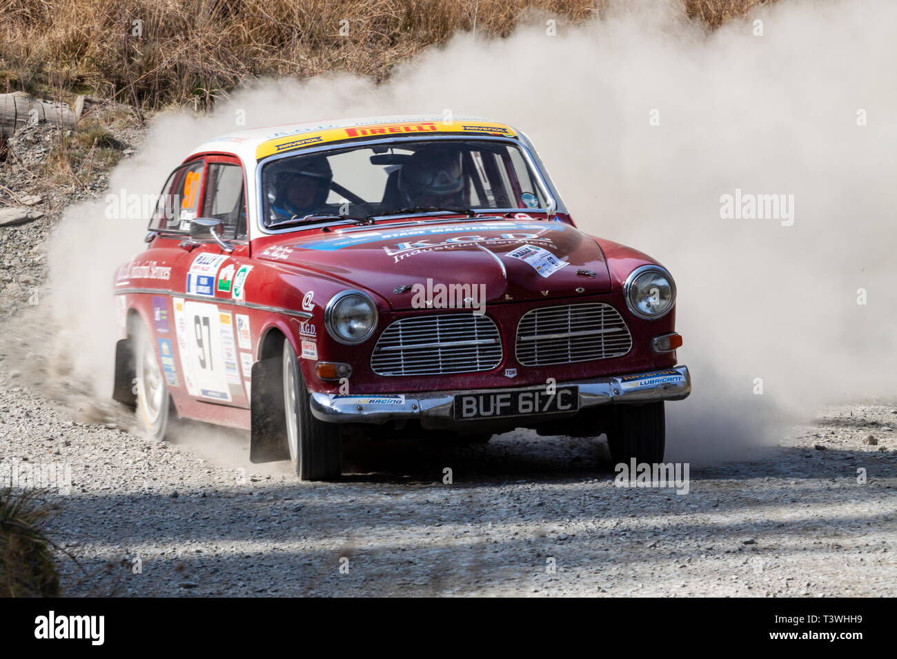 Forest Rally High Resolution Stock Photography and Images - Alamy