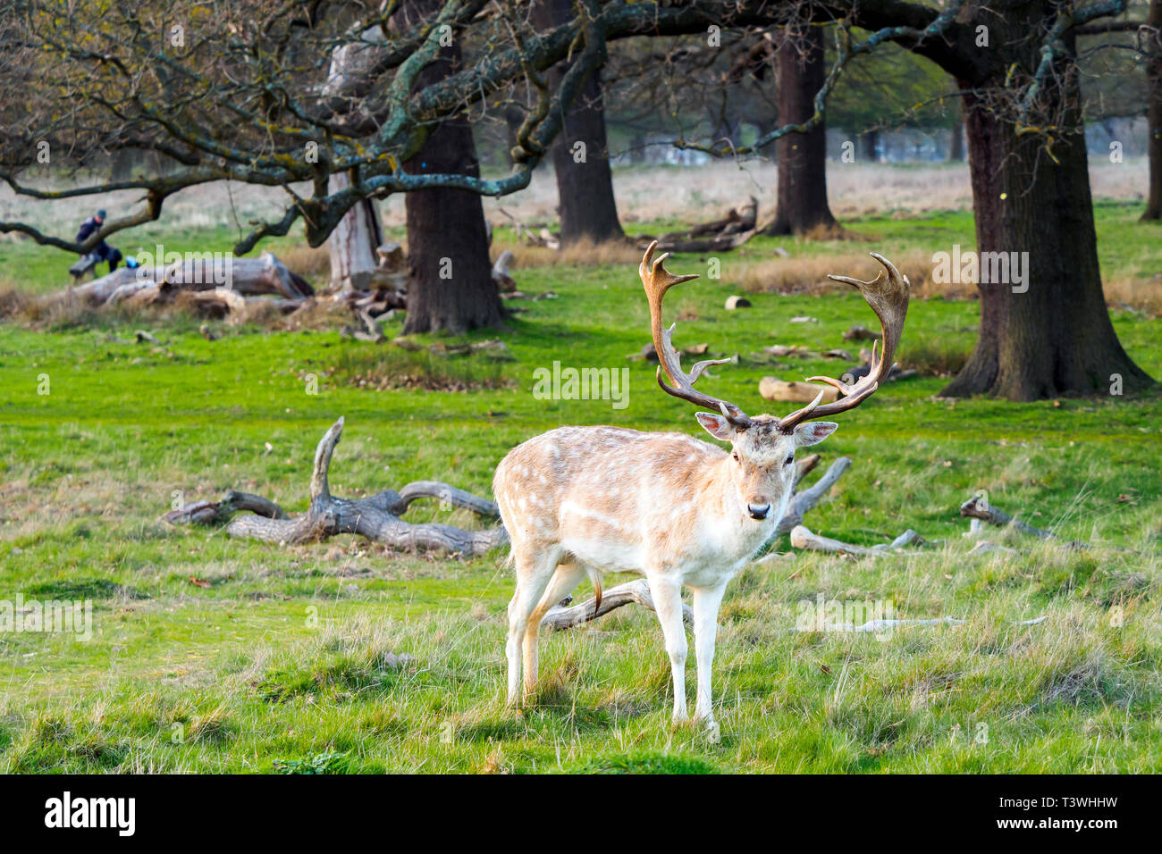 dkny deer park