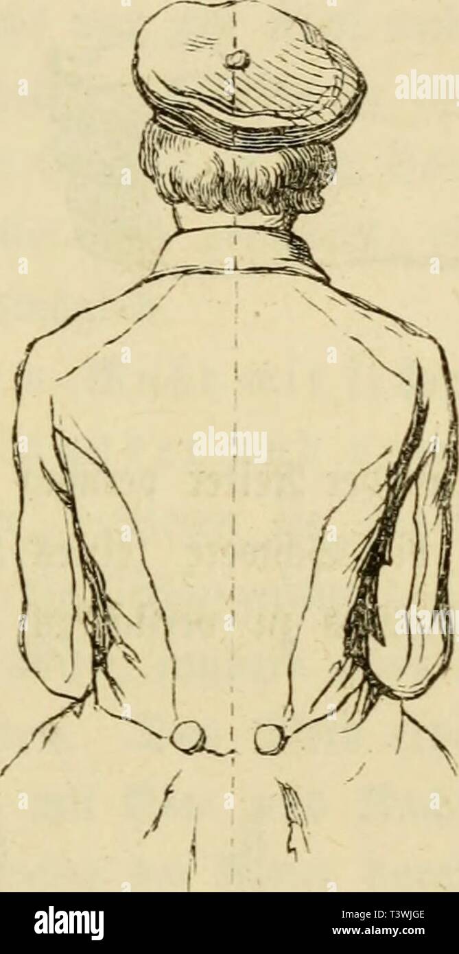 Seib High Resolution Stock Photography And Images Alamy