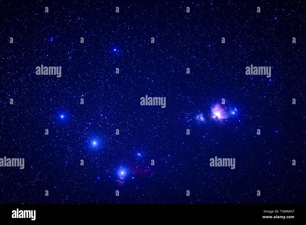 Low angle shot starry sky hi-res stock photography and images - Alamy