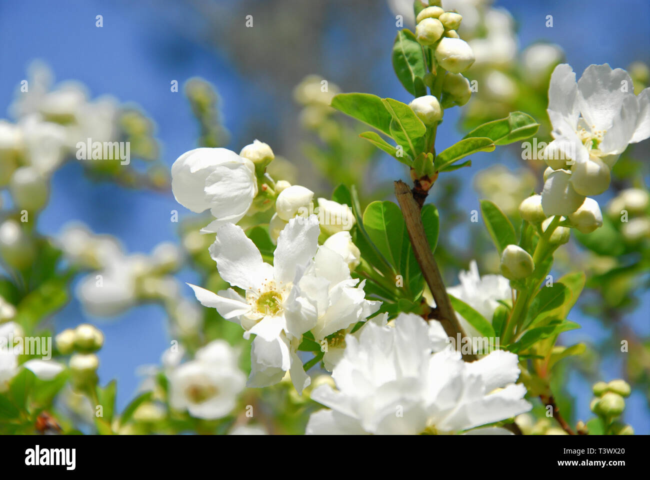 Weymouth, Dorset. 11th April 2019. UK Weather People enjoy Spring