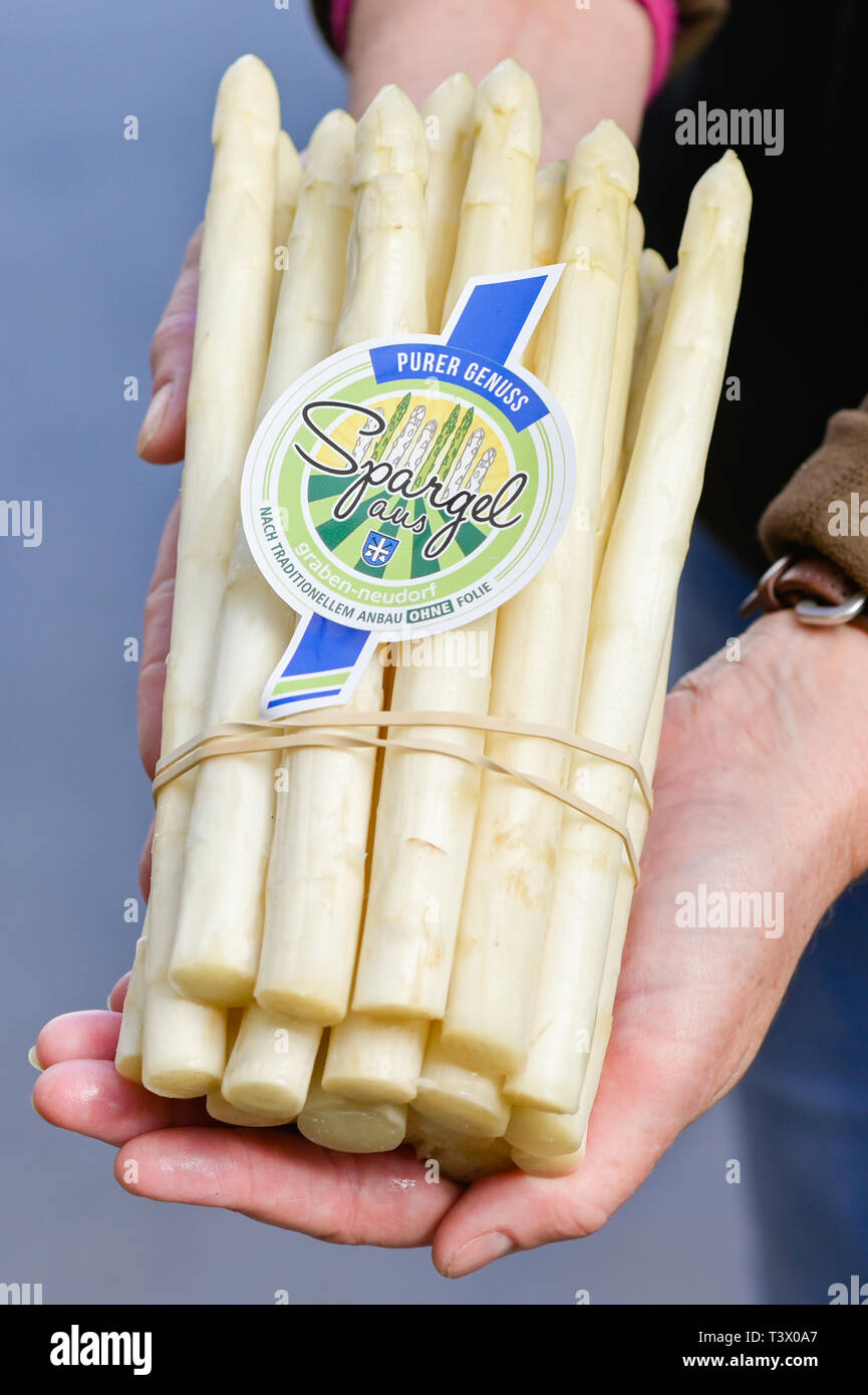 Graben Neudorf, Germany. 11th Apr, 2019. A woman is holding in her hands a  bundle of fresh asparagus, bearing a seal of quality with the inscription ' Spargel aus Graben-Neudorf nach traditionellem Anbau