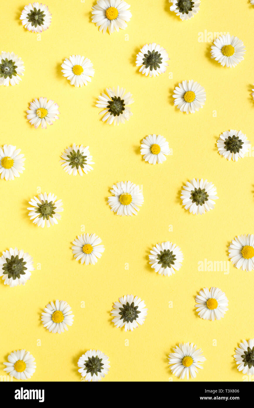 Pastel yellow background logsmasa