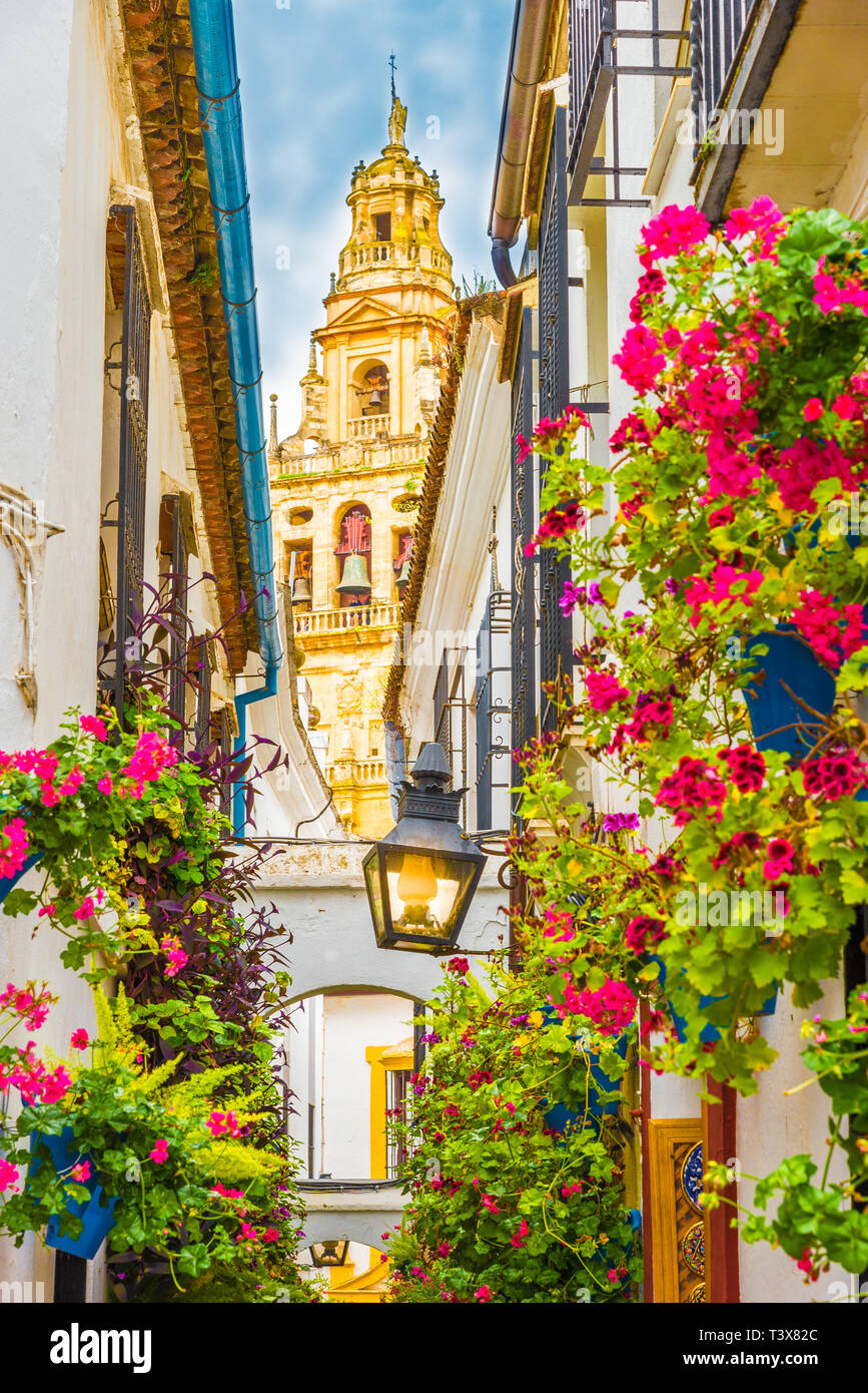 Calleja de las Flores, Cordoba, Spain Stock Photo - Alamy